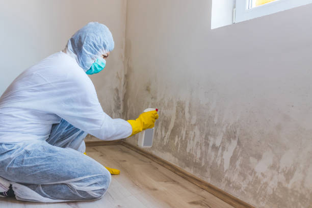 Hvac And Air Duct Mold Remediation inspection of HVAC system in Keansburg