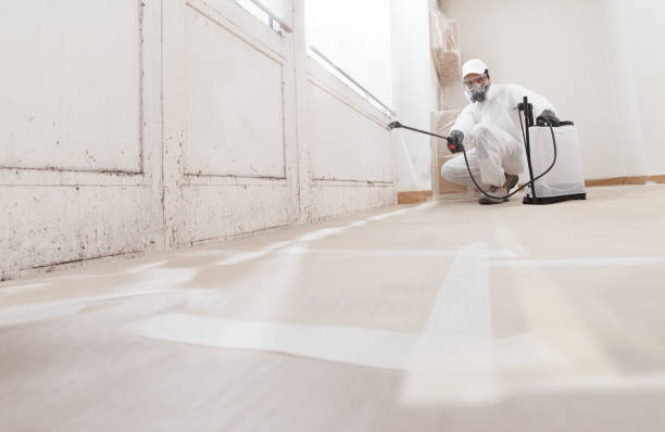 Black mold remediation team in Keansburg